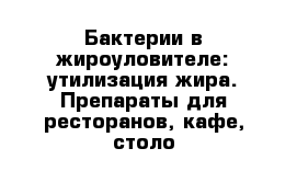 Бактерии в жироуловителе: утилизация жира. Препараты для ресторанов, кафе, столо